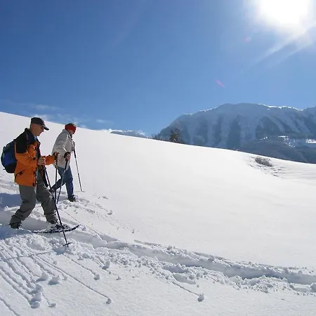 Wieser 3* Mittersill