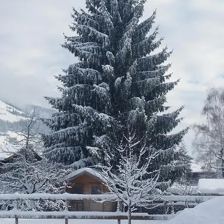 Wieser 3* Mittersill