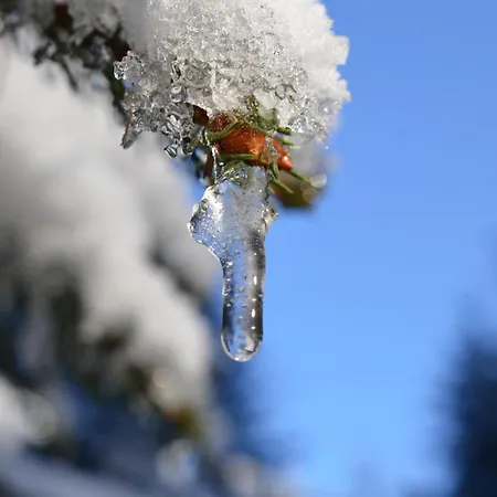 Wieser 3* Mittersill