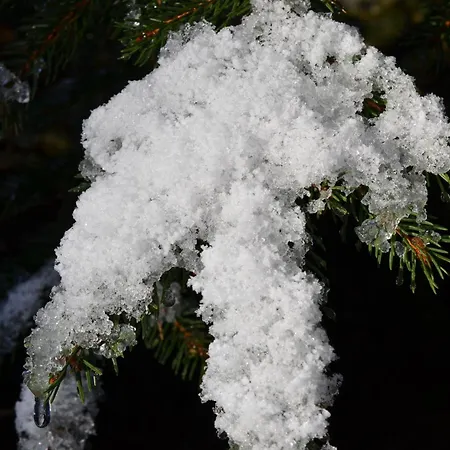 Wieser Hotel Mittersill