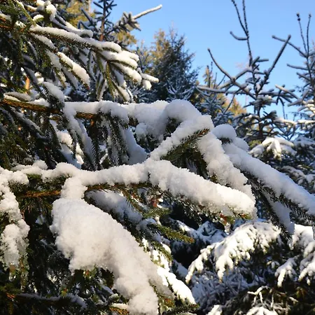 Wieser 3* Mittersill