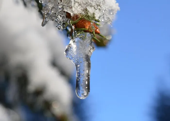 Wieser 3* Mittersill