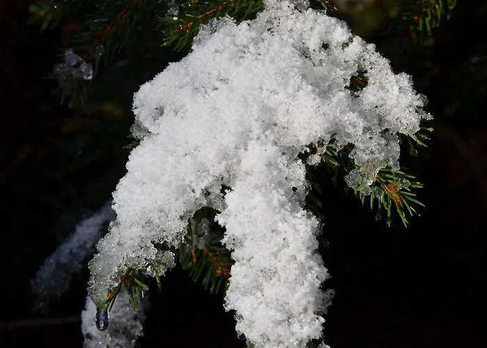 Wieser Hotel Mittersill